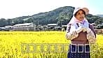 AVに出演希望の稲刈り中の爆乳熟女！作業中断中に濃厚AV撮影で、欲求不満解消の中出しセックス！ サンプル1